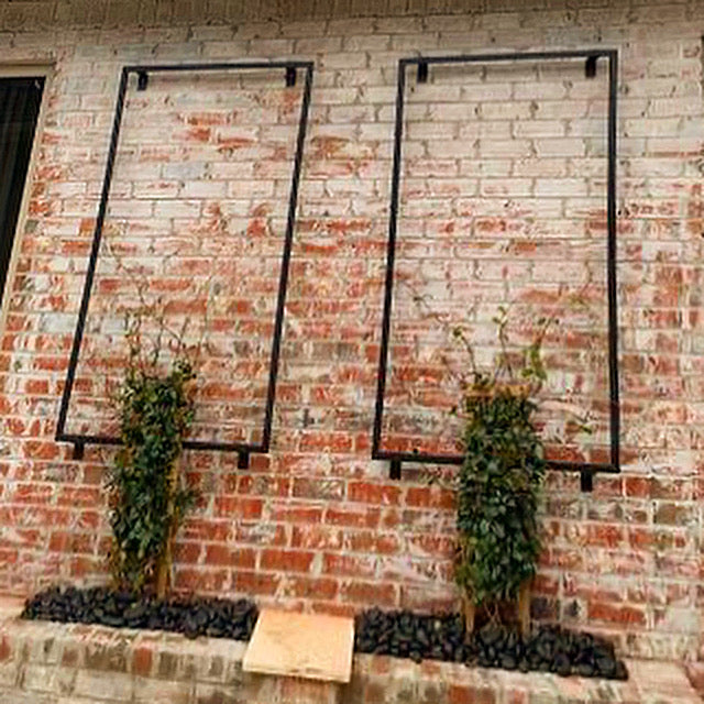 Modern, Metal Garden Trellis, Vertical, 60”-72” high, Minimalist, Stainless Steel Wire, Aluminum Frame Garden Trellis, Non-Rusting, Multiple Colors Available, Wall Mounted or Staked options, Handcrafted in USA, Non Rusting, Powder Coated Finishes