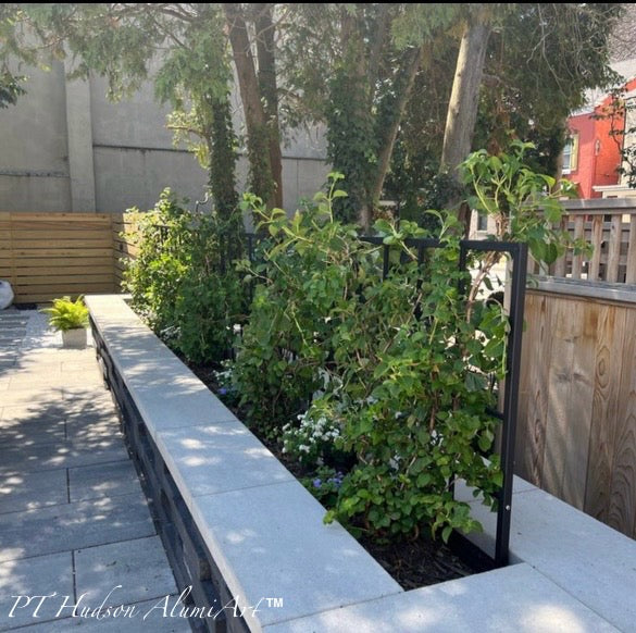 Large Horizontal Classic Metal Garden Trellis, Multiple Sizes and Colors Available, Wall Mounted or Staked options, up to 9ft wide, All Aluminum, Handcrafted in USA, Non Rusting, Powder Coated Finishes