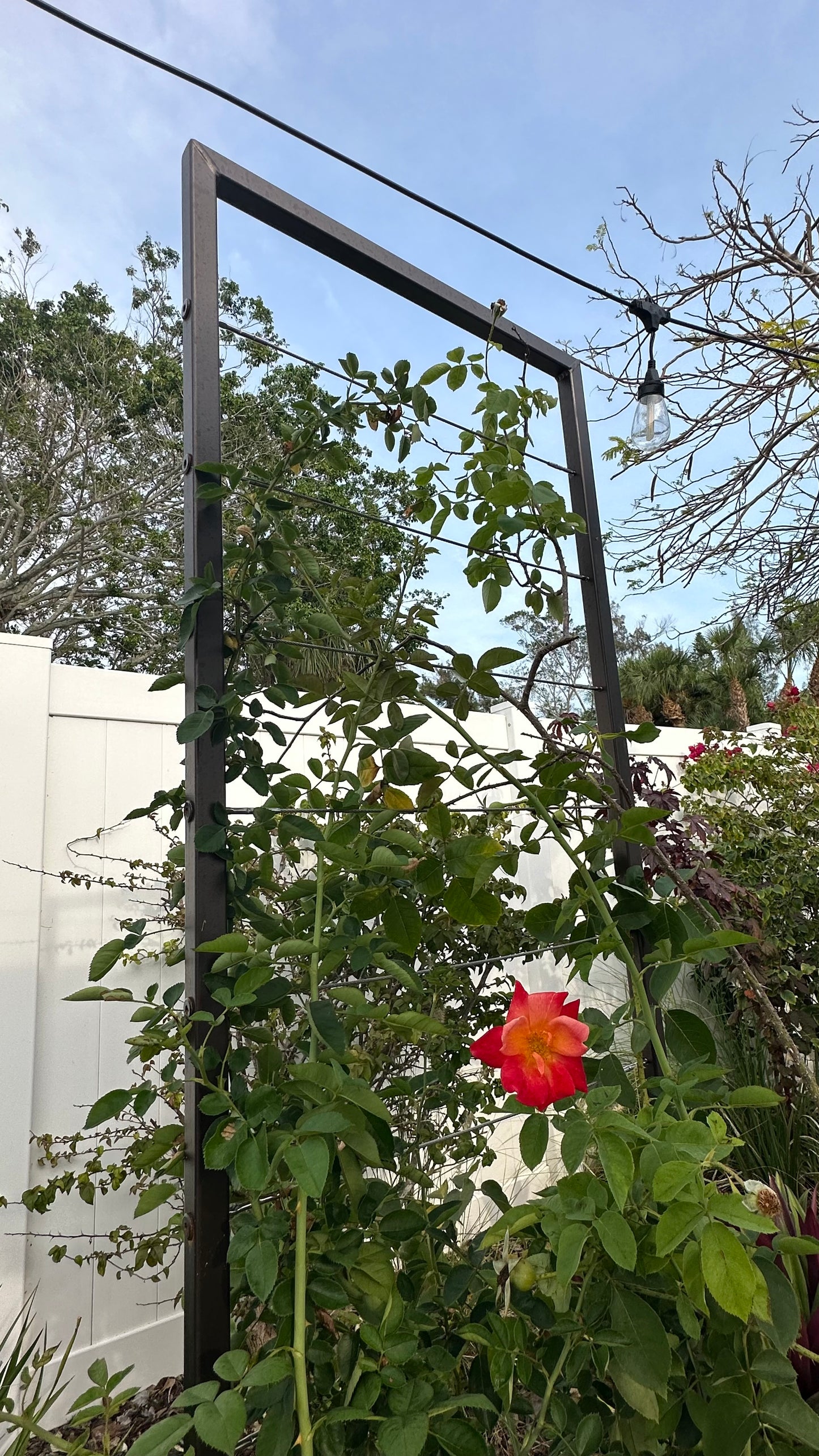 Modern, Metal Garden Trellis, Vertical, 60”-72” high, Minimalist, Stainless Steel Wire, Aluminum Frame Garden Trellis, Non-Rusting, Multiple Colors Available, Wall Mounted or Staked options, Handcrafted in USA, Non Rusting, Powder Coated Finishes