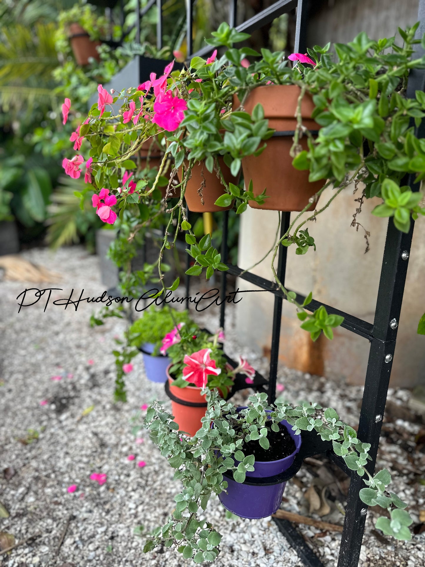 Large Horizontal Classic Metal Garden Trellis, Multiple Sizes and Colors Available, Wall Mounted or Staked options, up to 9ft wide, All Aluminum, Handcrafted in USA, Non Rusting, Powder Coated Finishes